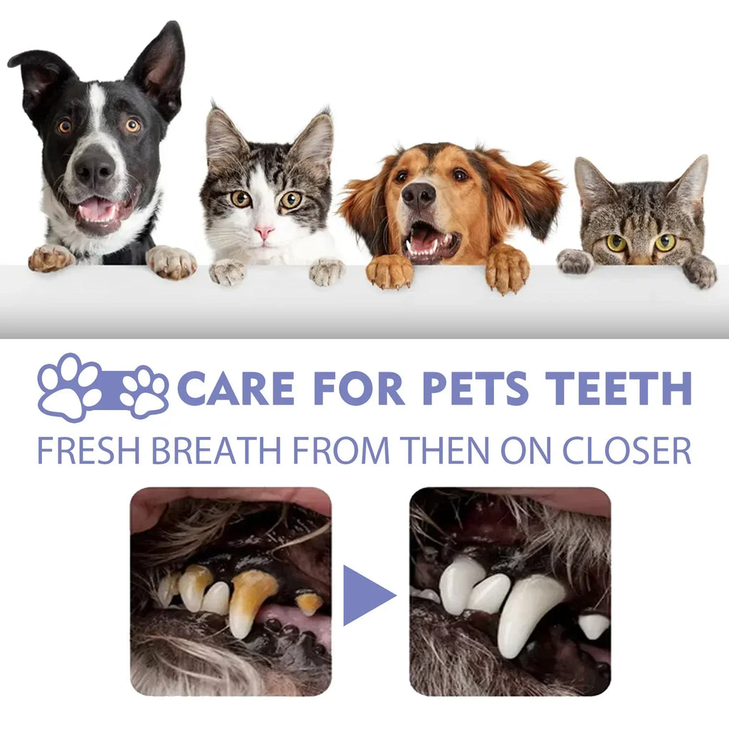 Pet Teeth Cleaning Spray for Dogs and Cats – Tartar Remover, Fresh Breath, Oral Care