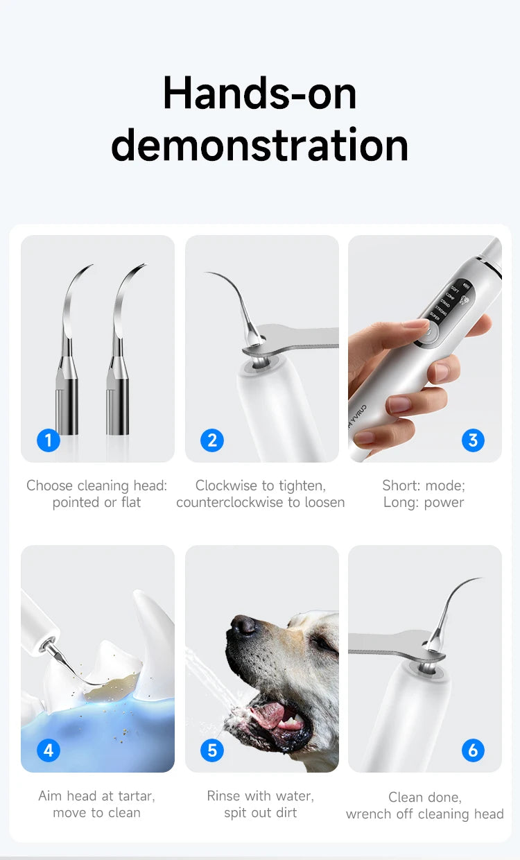 Ultrasonic Dental Scaler for Dogs and Cats – 5 Cleaning Modes, Pet Teeth Cleaning Kit