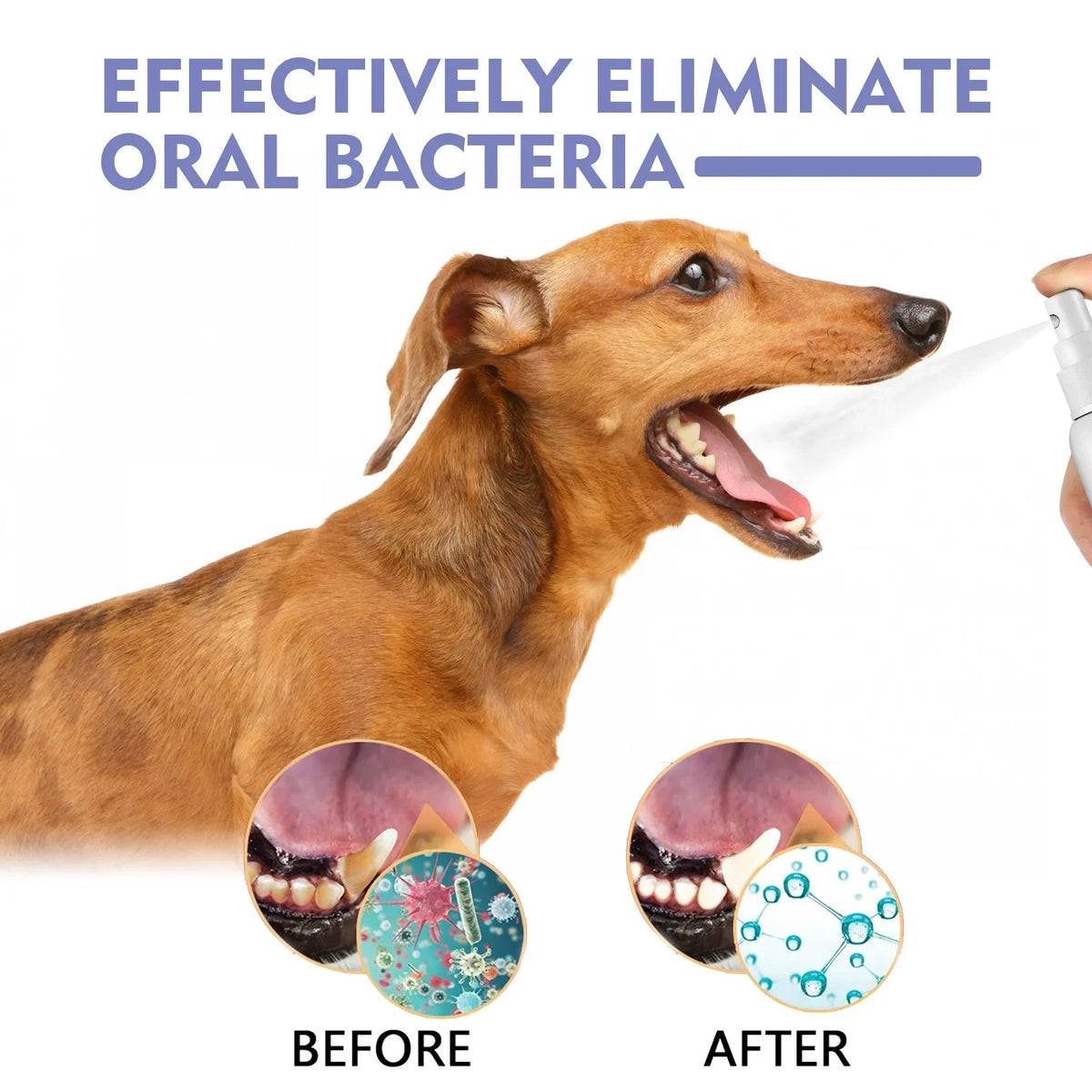 Pet Teeth Cleaning Spray for Dogs and Cats – Tartar Remover, Fresh Breath, Oral Care