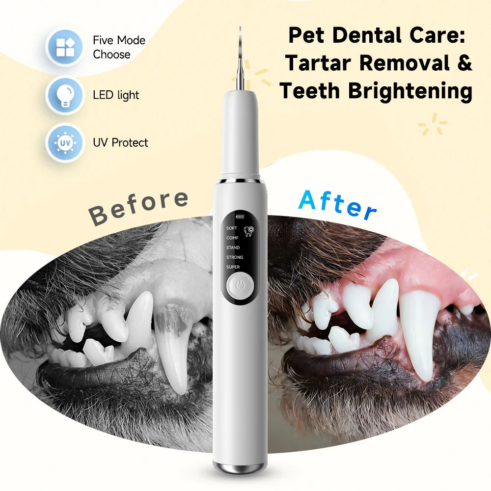 Ultrasonic Dental Scaler for Dogs and Cats – 5 Cleaning Modes, Pet Teeth Cleaning Kit