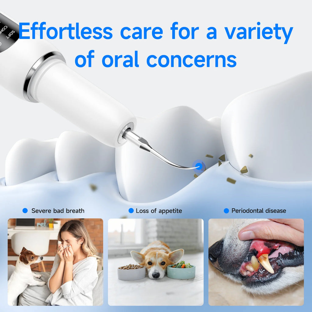 Ultrasonic Dental Scaler for Dogs and Cats – 5 Cleaning Modes, Pet Teeth Cleaning Kit