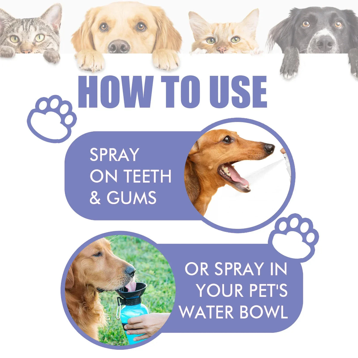 Pet Teeth Cleaning Spray for Dogs and Cats – Tartar Remover, Fresh Breath, Oral Care