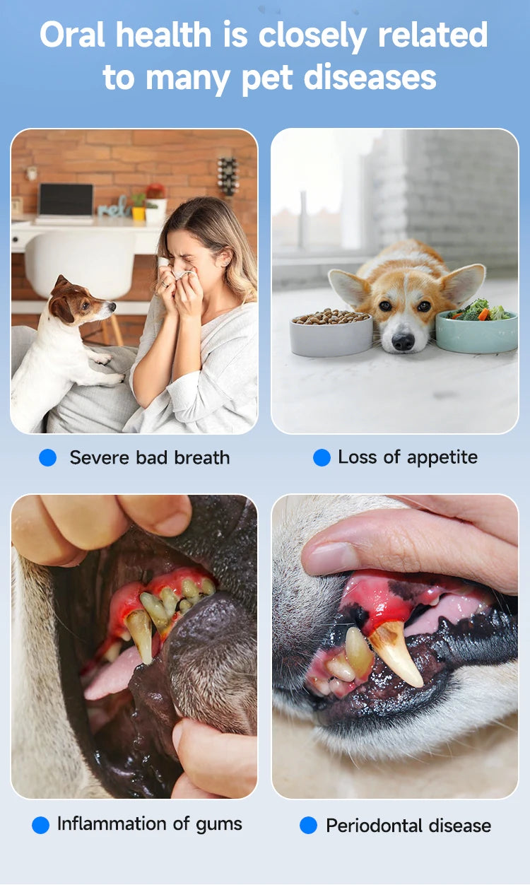 Ultrasonic Dental Scaler for Dogs and Cats – 5 Cleaning Modes, Pet Teeth Cleaning Kit