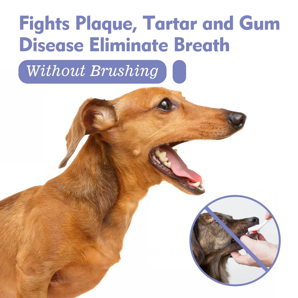Pet Teeth Cleaning Spray for Dogs and Cats – Tartar Remover, Fresh Breath, Oral Care