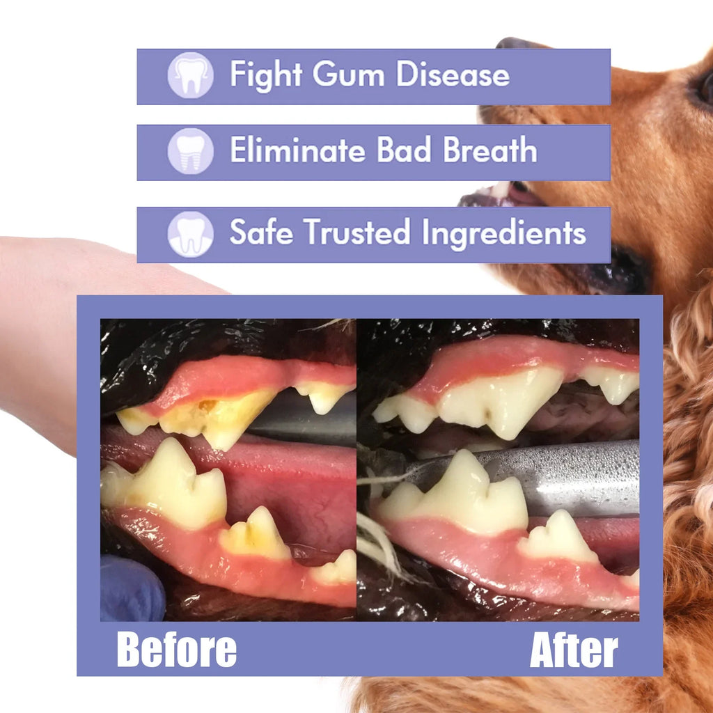 Pet Teeth Cleaning Spray for Dogs and Cats – Tartar Remover, Fresh Breath, Oral Care